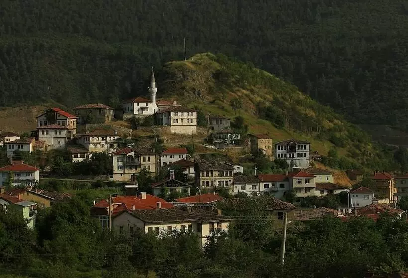 Hotelli Taraklı Termal Suite