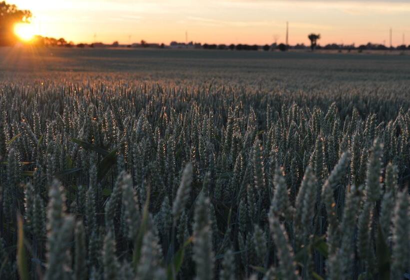 בית מלון כפרי Villa Sandby Bed And Breakfast