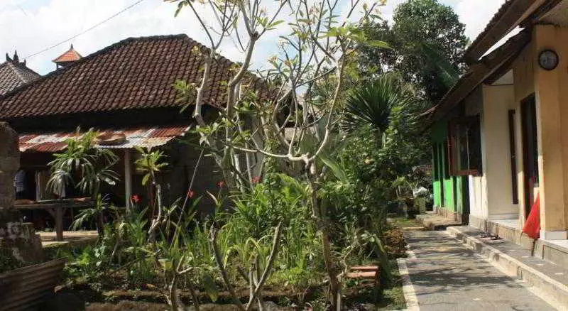 민박 Citrus Tree Kunyit