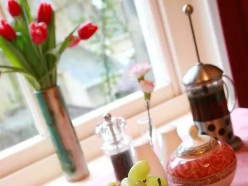 Bed and Breakfast Spring Lodge