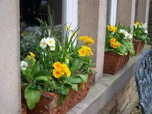 Bed and Breakfast Spring Lodge