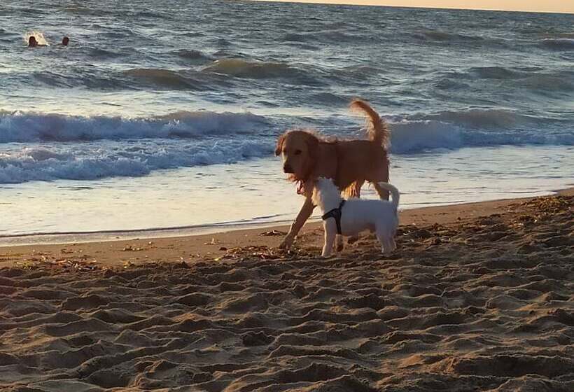 Отель Ghiacci Vecchi Residence