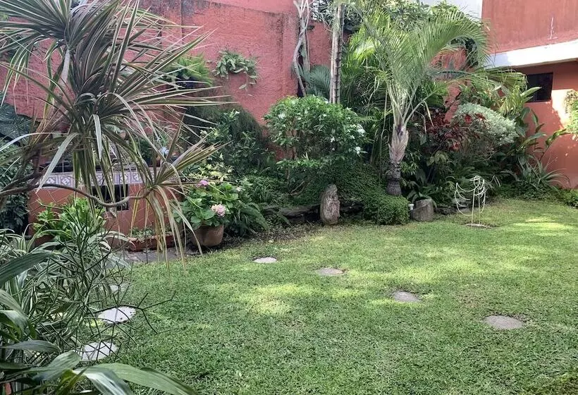 Отель La Posada Del Angel