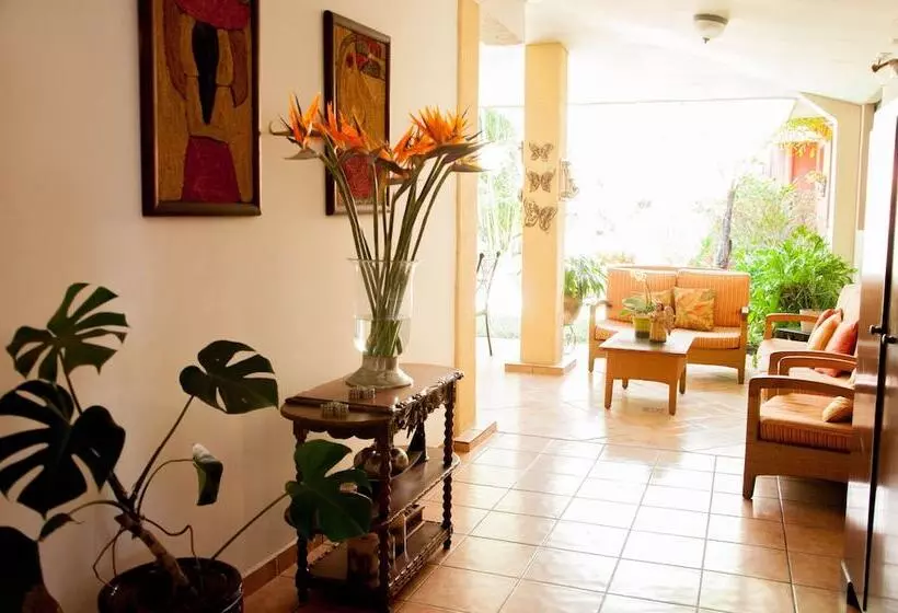 Отель La Posada Del Angel