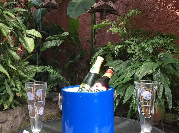 Отель La Posada Del Angel