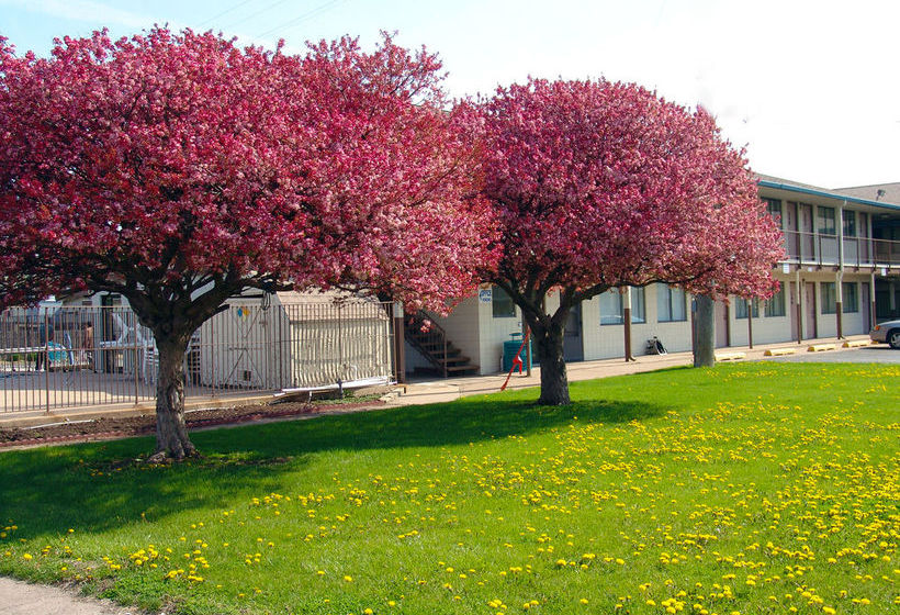 فندق Quad City Inn