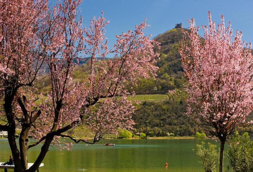 Отель Seegarten