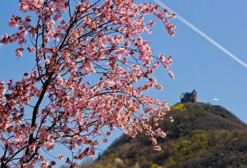 Отель Seegarten