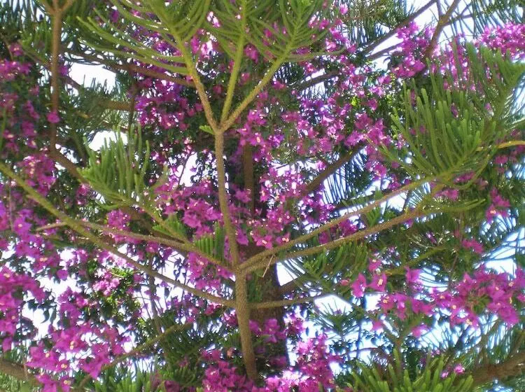 호텔 Studios Vrionis Panoramic Sunset