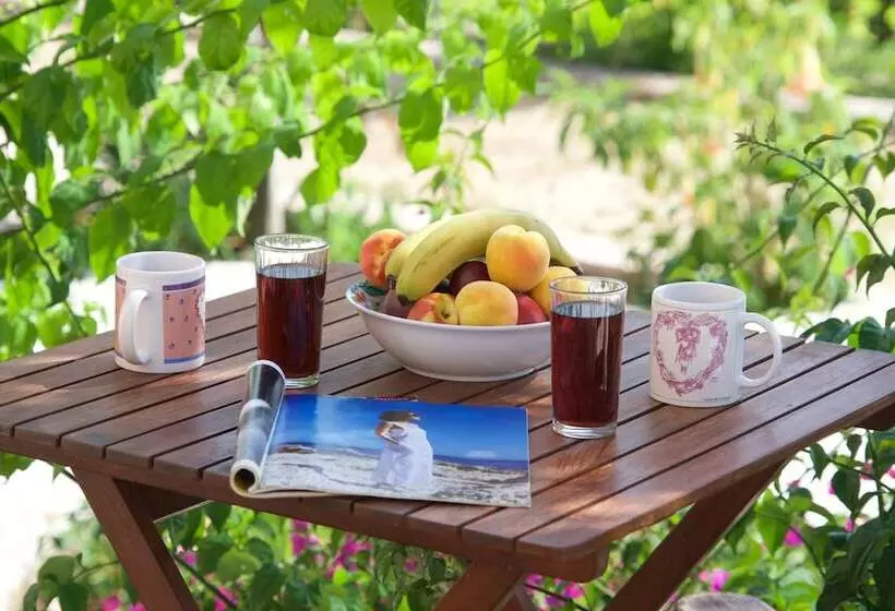 호텔 Studios Vrionis Panoramic Sunset