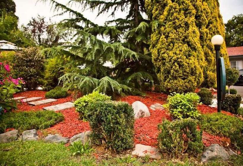 모텔 Abbotsleigh Motor Inn