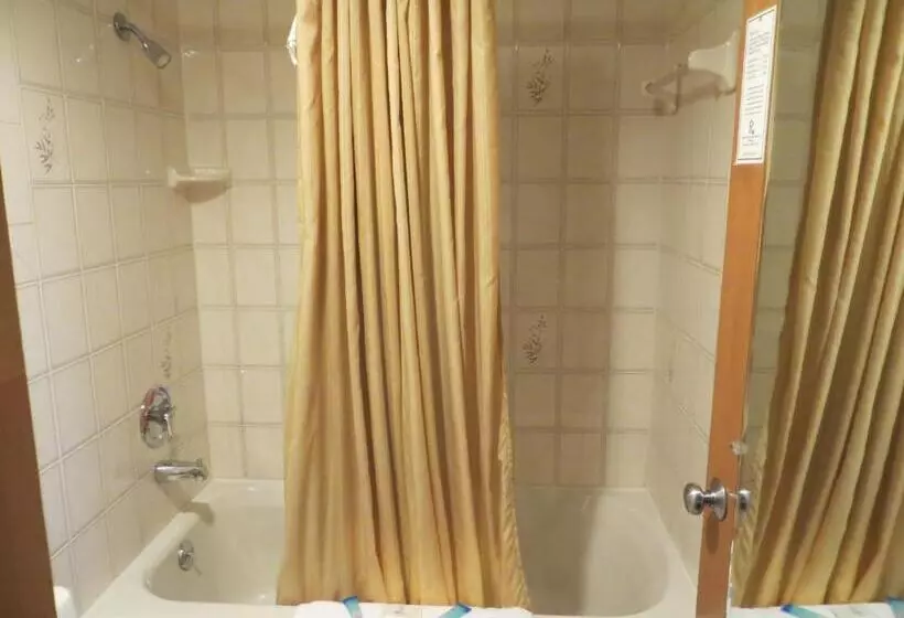 モーテル Riverside Motor Lodge   Pigeon Forge