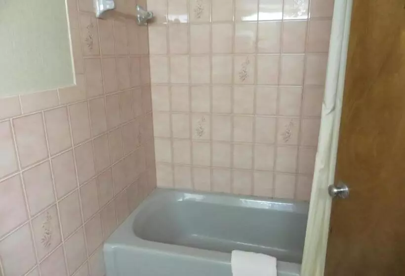 モーテル Riverside Motor Lodge   Pigeon Forge