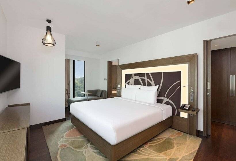 Novotel New Delhi Aerocity  International Airport