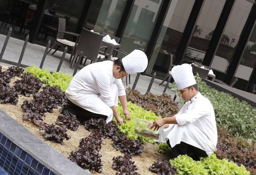 Novotel New Delhi Aerocity  International Airport