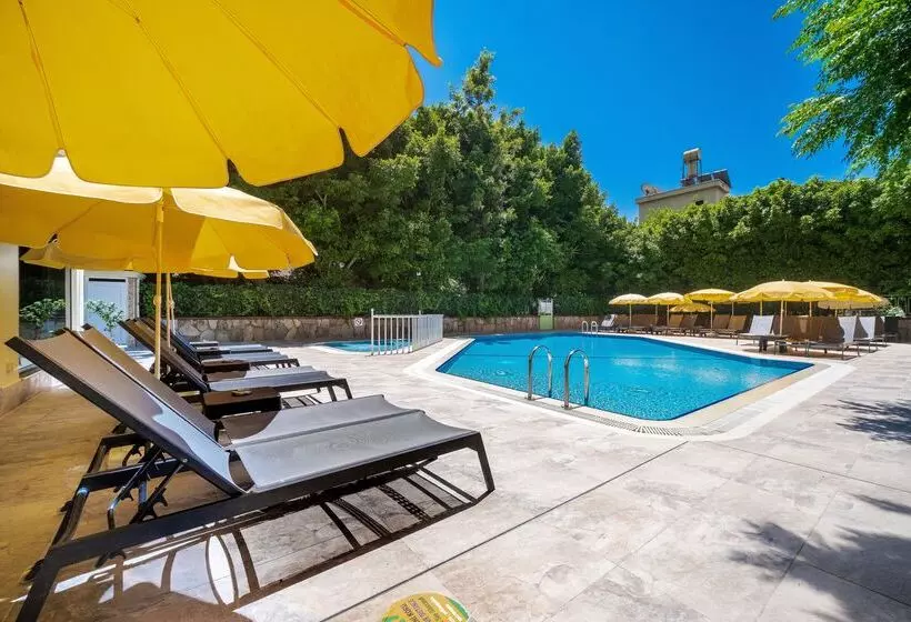 Villa Sunflower Hotel   All Inclusive