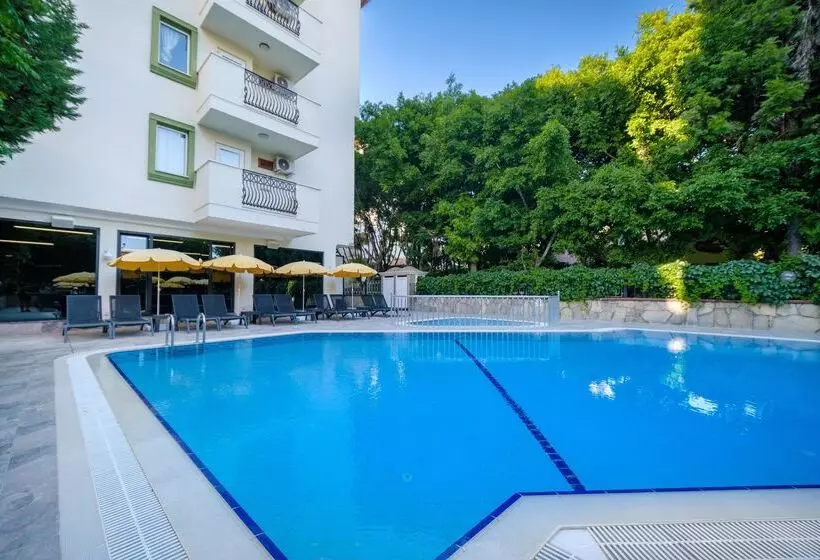 Villa Sunflower Hotel   All Inclusive