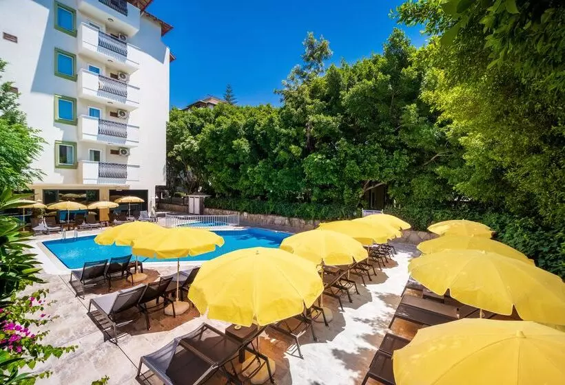 Villa Sunflower Hotel   All Inclusive