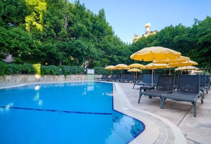 Villa Sunflower Hotel   All Inclusive