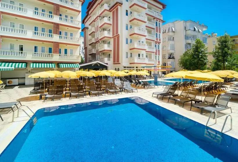 Villa Sunflower Hotel   All Inclusive