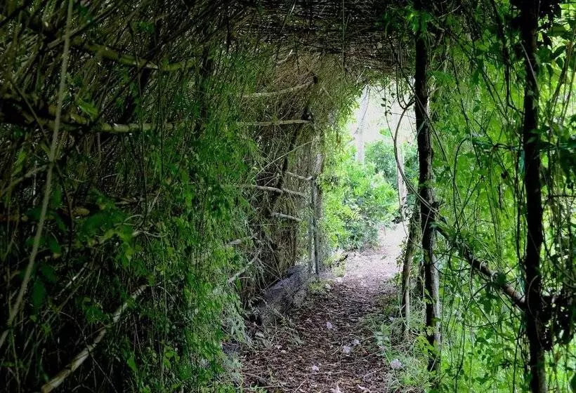 ホテル Hosteria Cananvalle