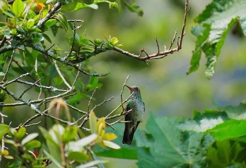 ホテル Hosteria Cananvalle