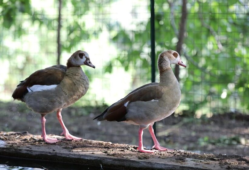 فندق Agriturismo San Cataldo