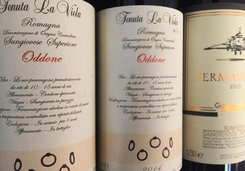 Отель Allegroitalia Fratta Terme