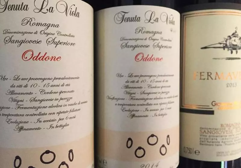 Hotel Allegroitalia Fratta Terme