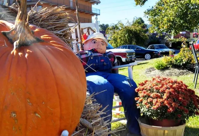 Arbors At Island Landing Hotel & Suites