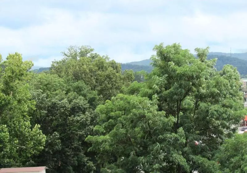 Arbors At Island Landing Hotel & Suites