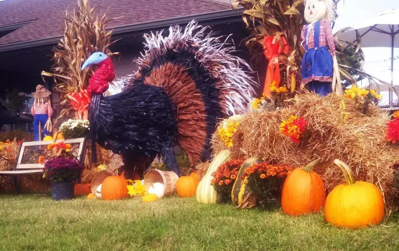 Arbors At Island Landing Hotel & Suites