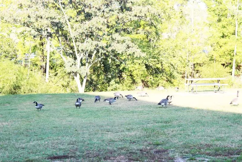 Arbors At Island Landing Hotel & Suites