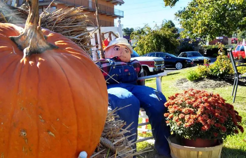 Arbors At Island Landing Hotel & Suites