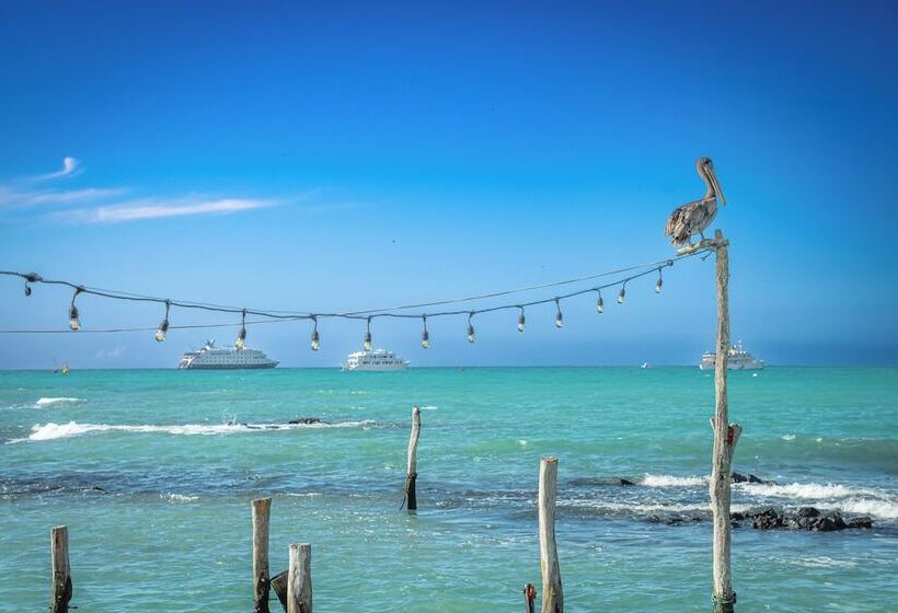 فندق Blu Galapagos Sustainable Waterfront Lodge