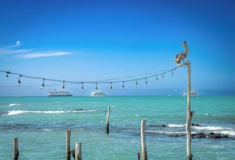 בית מלון כפרי Blu Galapagos Sustainable Waterfront Lodge