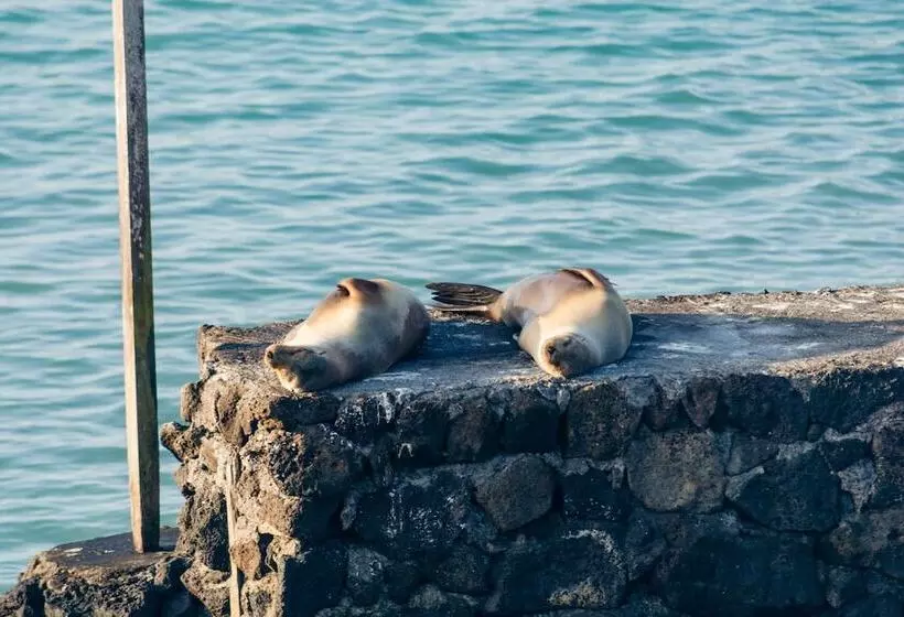 בית מלון כפרי Blu Galapagos Sustainable Waterfront Lodge