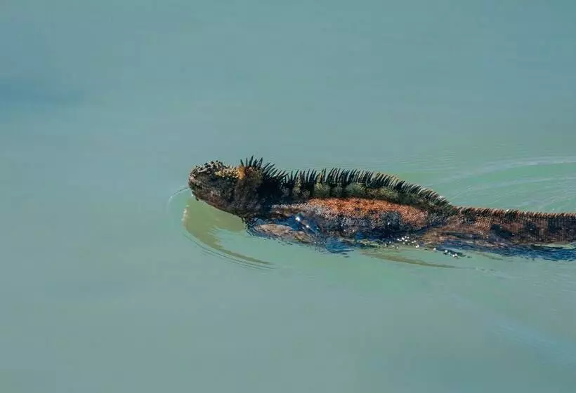 בית מלון כפרי Blu Galapagos Sustainable Waterfront Lodge