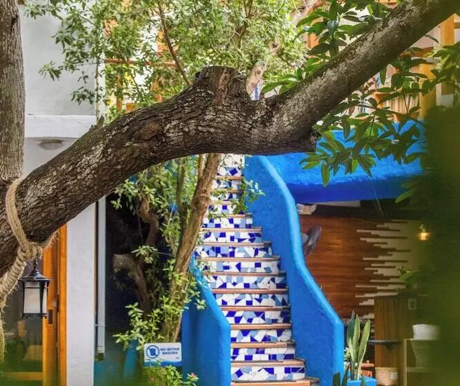 בית מלון כפרי Blu Galapagos Sustainable Waterfront Lodge