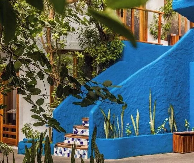 בית מלון כפרי Blu Galapagos Sustainable Waterfront Lodge