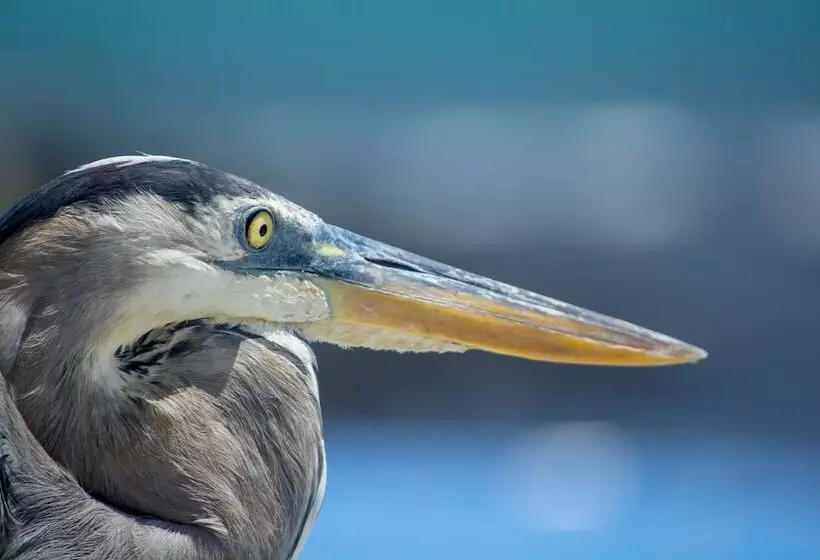 בית מלון כפרי Blu Galapagos Sustainable Waterfront Lodge