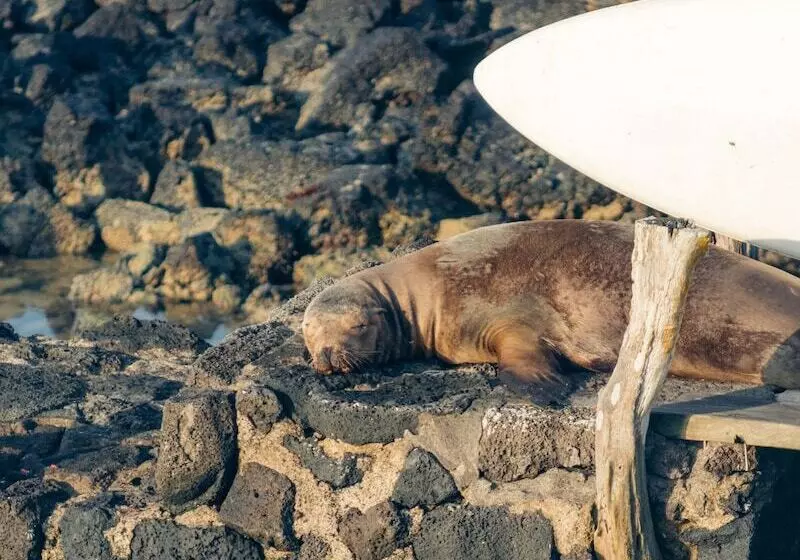 בית מלון כפרי Blu Galapagos Sustainable Waterfront Lodge