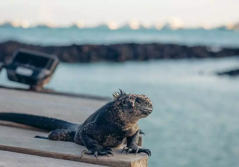 בית מלון כפרי Blu Galapagos Sustainable Waterfront Lodge