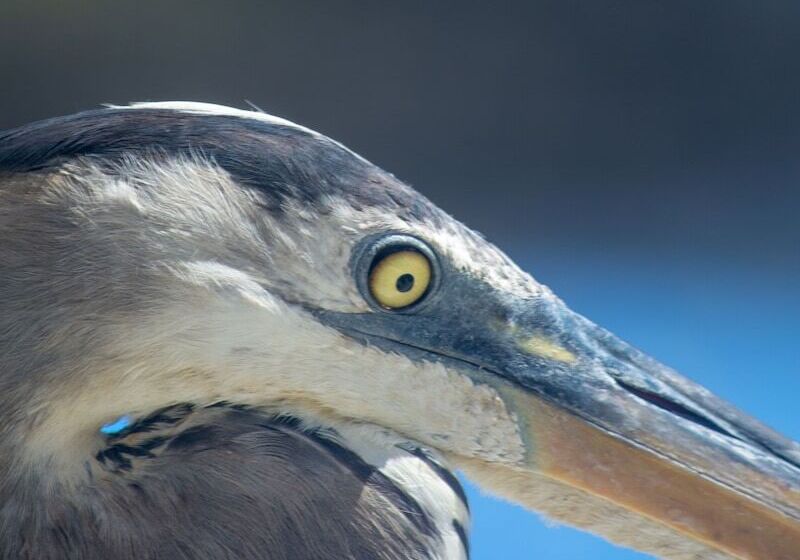 فندق Blu Galapagos Sustainable Waterfront Lodge