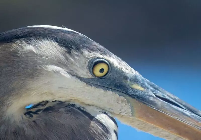 בית מלון כפרי Blu Galapagos Sustainable Waterfront Lodge