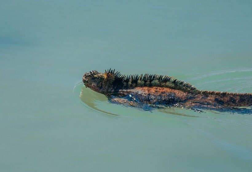 فندق Blu Galapagos Sustainable Waterfront Lodge