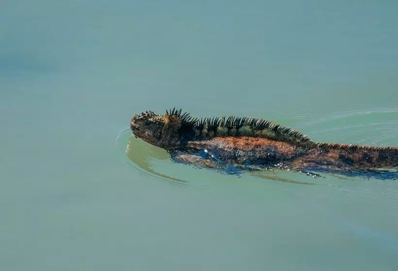 בית מלון כפרי Blu Galapagos Sustainable Waterfront Lodge
