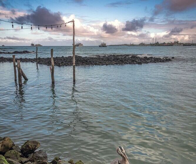 فندق Blu Galapagos Sustainable Waterfront Lodge