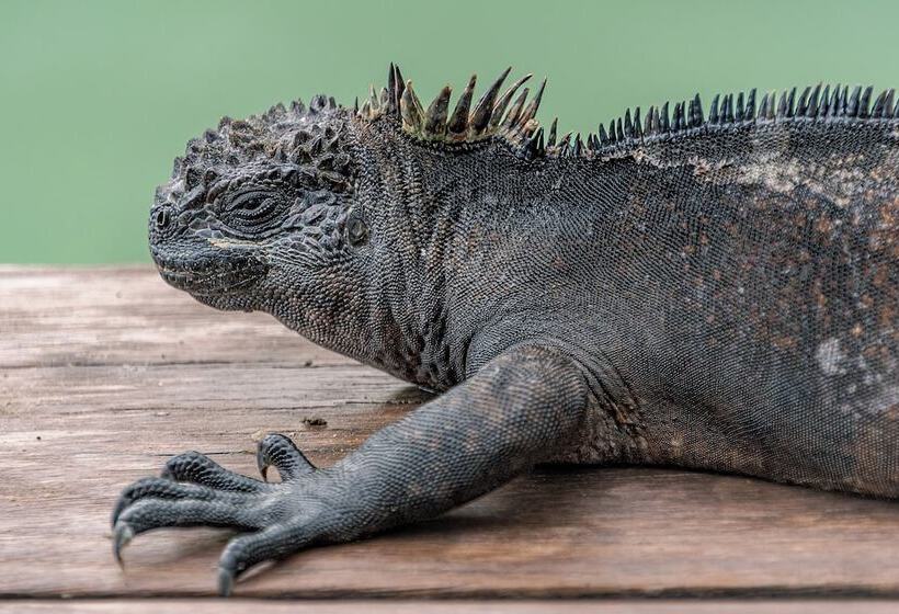 فندق Blu Galapagos Sustainable Waterfront Lodge