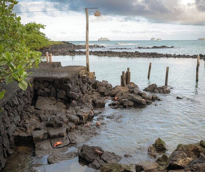 فندق Blu Galapagos Sustainable Waterfront Lodge